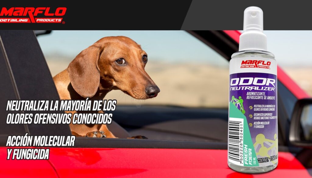 PT3676FR-ODOR NEUTRALIZER-FRESH-WFLARE-FB-1200X628