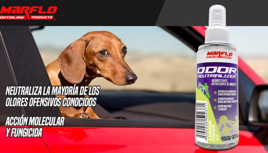 PT3676LM-ODOR NEUTRALIZER-LEMON-150ML-WFLARE-FB-1200X628