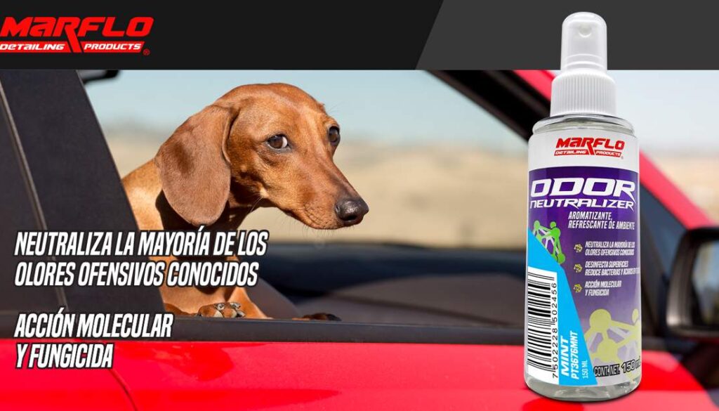PT3676MNT-ODOR NEUTRALIZER-MINT-150ML-WFLARE-FB-1200X628