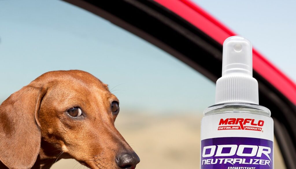 PT3676NC-ODOR NEUTRALIZER-NEW-CAR-150ML-PINTEREST-1000X1500